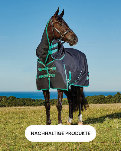 1. Nachhaltige Produkte