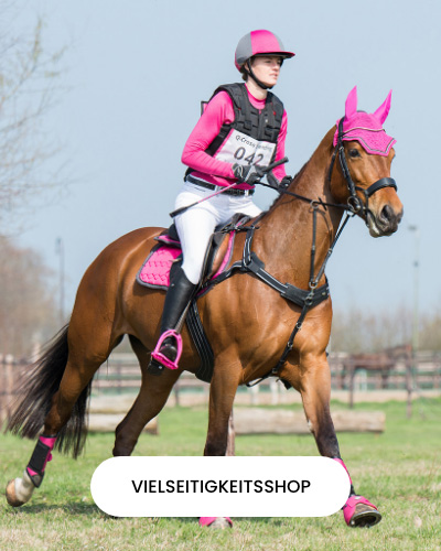 3. Vielseitigkeitsshop