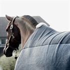 Abschwitzdecke Heavy Fleece Kentucky Grau