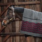 Abschwitzdecke Heavy Fleece Square Fishbone Kentucky Dunkelrot