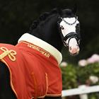 Abschwitzdecke HGLyx Mini HORSEGEAR Mittelorange
