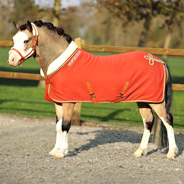 Abschwitzdecke HGLyx Mini HORSEGEAR Mittelorange