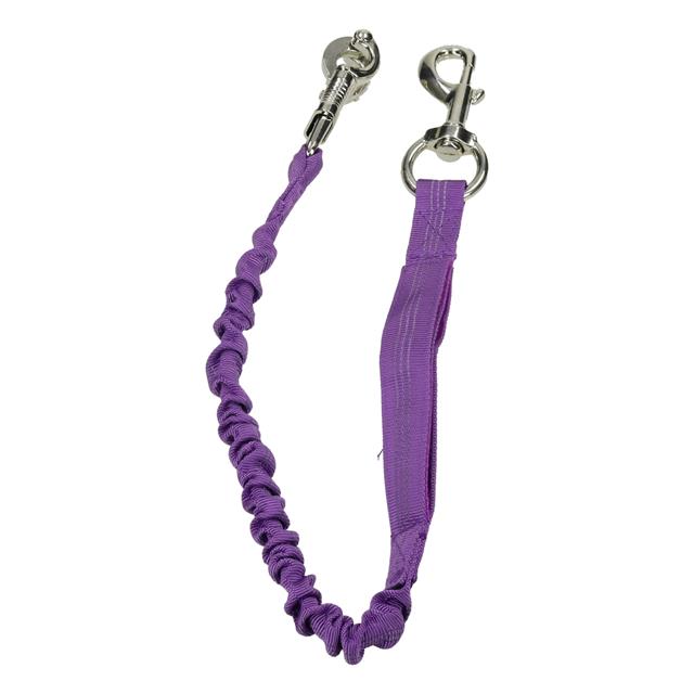 Anbinder Bungee HORSEGEAR Lila