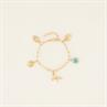Armband Charms Colour PaardenpraatTV Gold