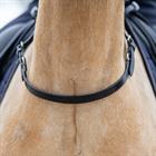 Balancegürtel HORSEGEAR Schwarz