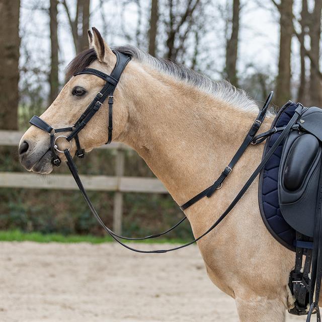 Balancegürtel HORSEGEAR Schwarz