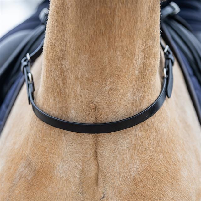 Balancegürtel HORSEGEAR Schwarz
