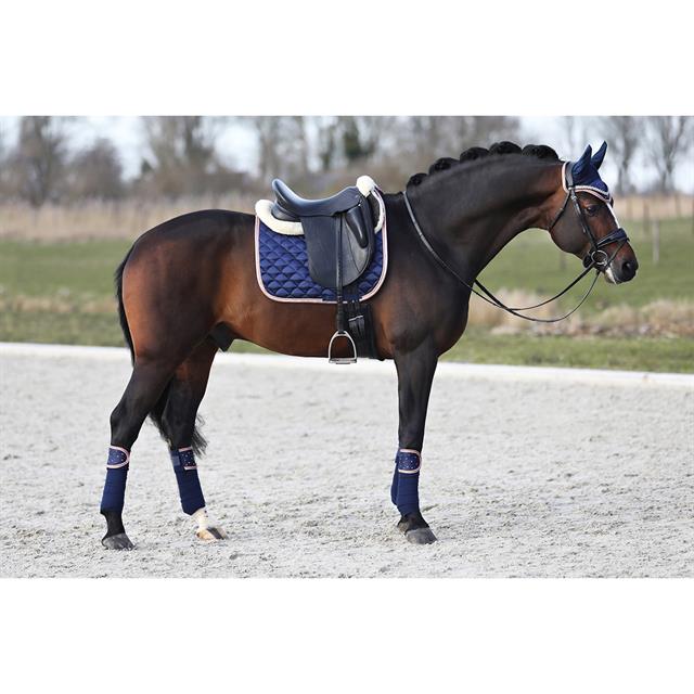 Bandagen HGAurum HORSEGEAR Dunkelblau