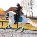 Bandagen HGAurum HORSEGEAR Grün