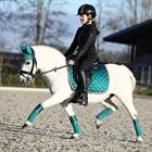 Bandagen HGAurum HORSEGEAR Grün