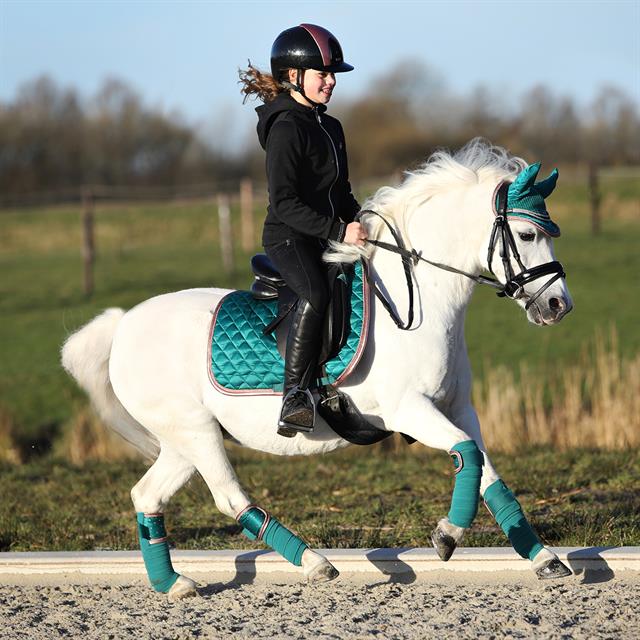 Bandagen HGAurum HORSEGEAR Grün