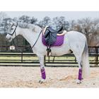 Bandagen HGAurum HORSEGEAR Lila