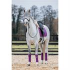 Bandagen HGAurum HORSEGEAR Lila