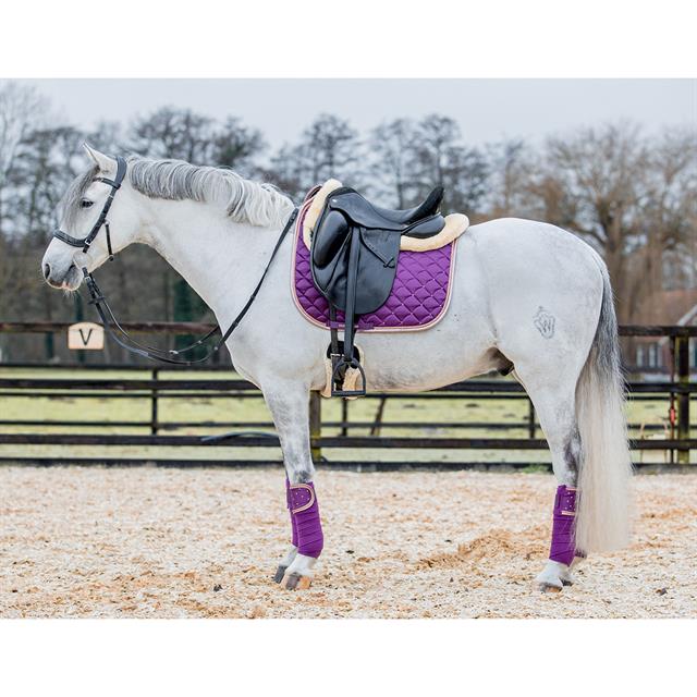 Bandagen HGAurum HORSEGEAR Lila