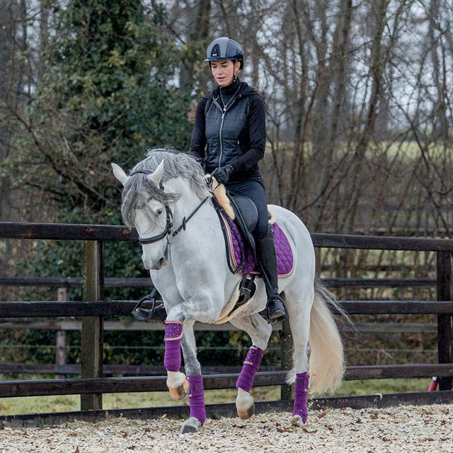 Bandagen HGAurum HORSEGEAR Lila