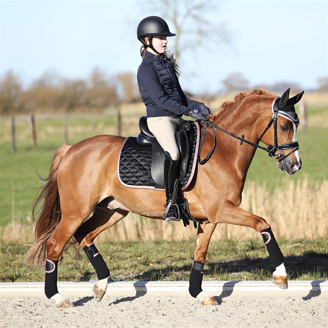 Bandagen HGAurum HORSEGEAR Schwarz