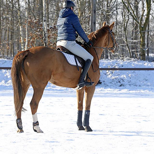 Bandagen Polarfleece Elastik Kentucky Dunkelblau