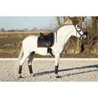 Bandagen Ruches 4er-Pack HORSEGEAR Dunkelbraun