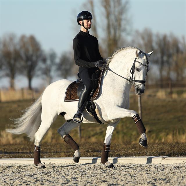 Bandagen Ruches 4er-Pack HORSEGEAR Dunkelbraun
