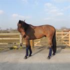 Bandagen Wolle Kentucky Dunkelblau
