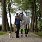 Bandagen Wolle Kentucky Schwarz