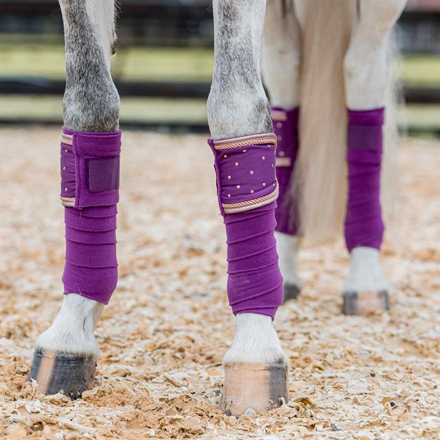 Bandages Horsegear Aurum Lila