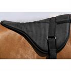 Bareback Pad Norton Equithème Schwarz