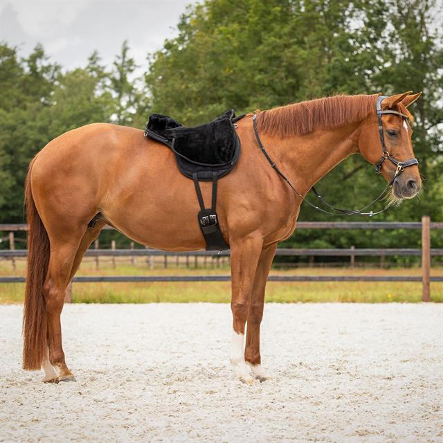 Bareback Pad Super Soft QHP Schwarz-Schwarz