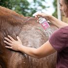 Bio-Ginkgo Pflegeshampoo Zedan Sonstige