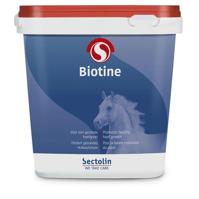 Biotin Sectolin Sonstige