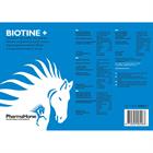 Biotine+ Pharmahorse Sonstige