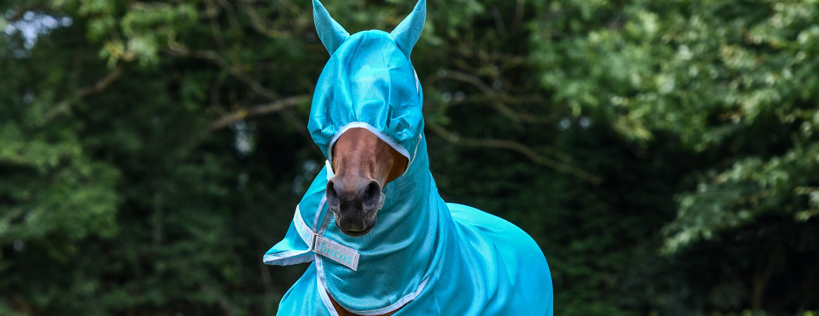 Bucas fly masks