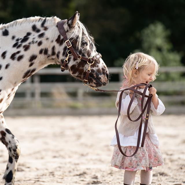 Bodenarbeitsseil Human & Horse By Greetje Hakvoort Braun