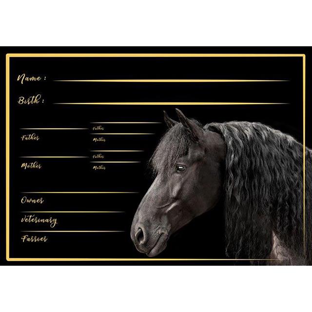 Boxenschild Friese 1 HB Schwarz