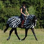 Buzz Off Riding Zebra Bucas Zebra