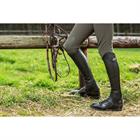Chaps Comfort Standard Dy'on Schwarz
