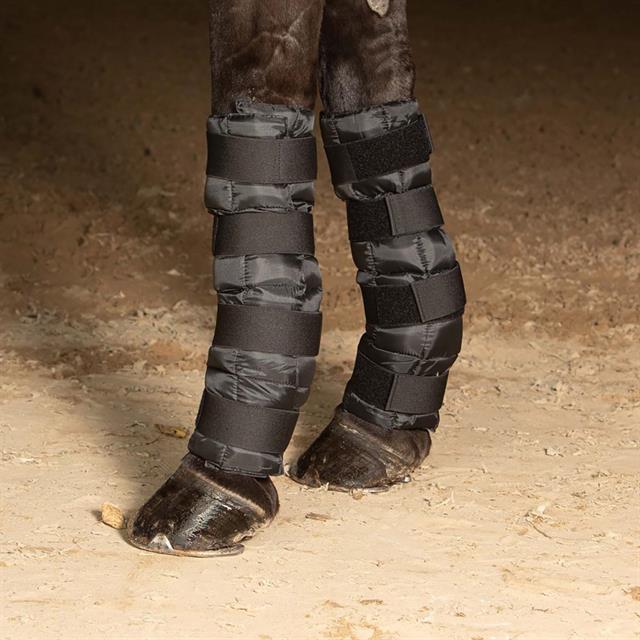 Cold Wraps Harry's Horse Schwarz