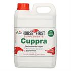 Cuppra Horse First Divers