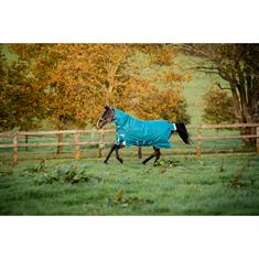 Decke Amigo Bravo 1200D Plus 400gr Horseware Grün