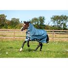 Deken Horseware Amigo Ameco 12 Plus Turnout 0gr Dunkelgrau