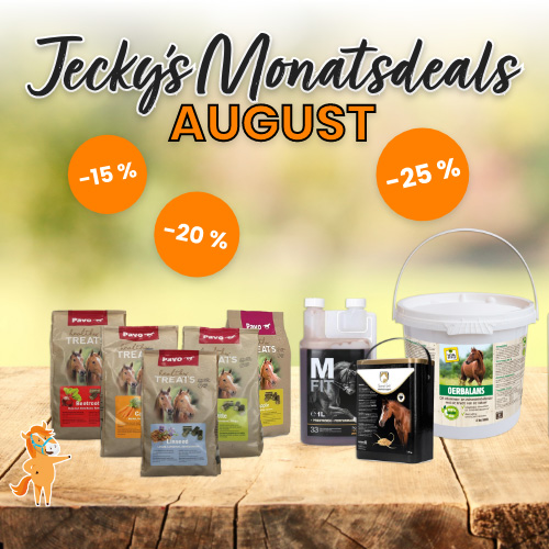 Die Must-haves für dein Pferd im August