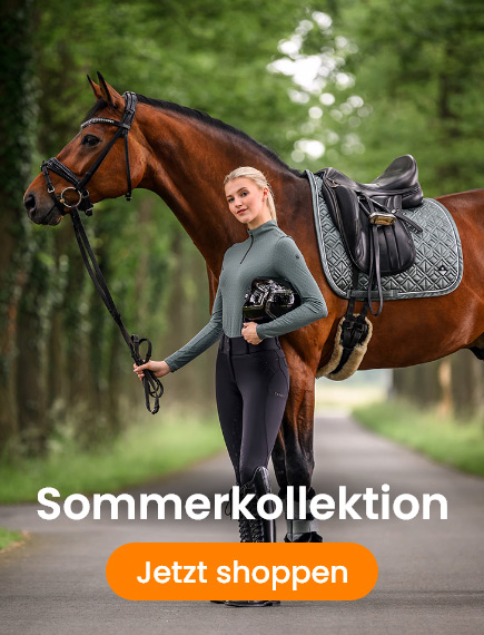 Dropdown banner reiter sommerkollektion