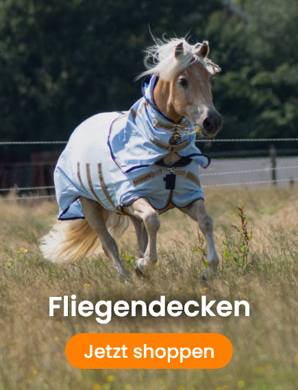 Dropdownbanner fliegendecken