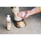 Easy Shine Mousse Ravene 