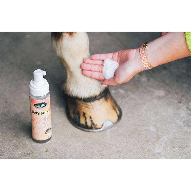 Easy Shine Mousse Ravene 