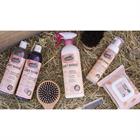 Easy Shine Shampoo Grey Ravene 