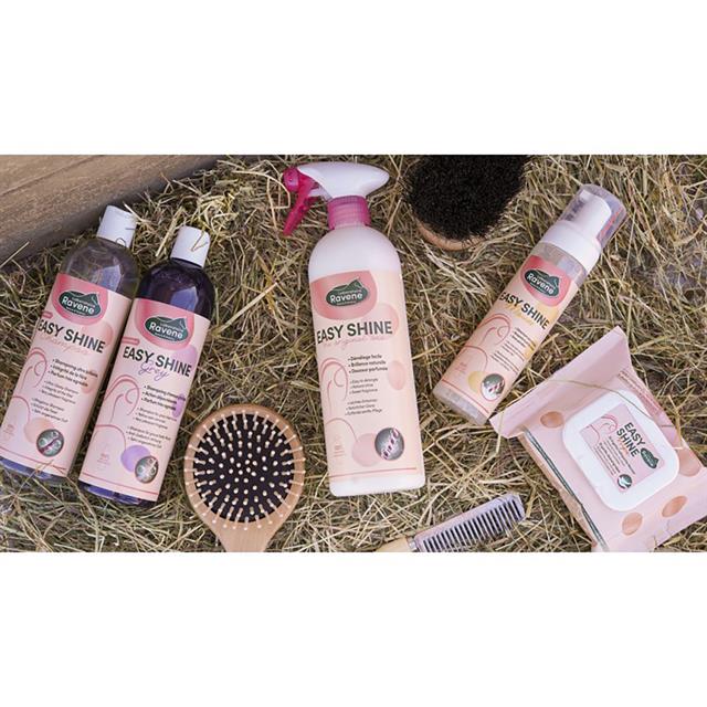 Easy Shine Shampoo Grey Ravene 