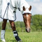Ekzemerdecke Sweet Itch Full Neck Horsegear Weiß
