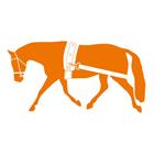 Elastisches Longierband Harry's Horse Schwarz