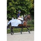 Fliegendecke Bucas Buzz Off Riding Blau